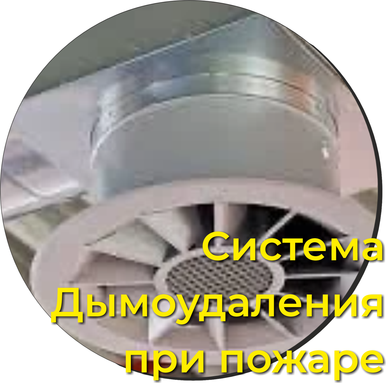 icon - /uploads/s/b/y/e/byew6rhvgfvv/img/full_Pgt59FIs.png