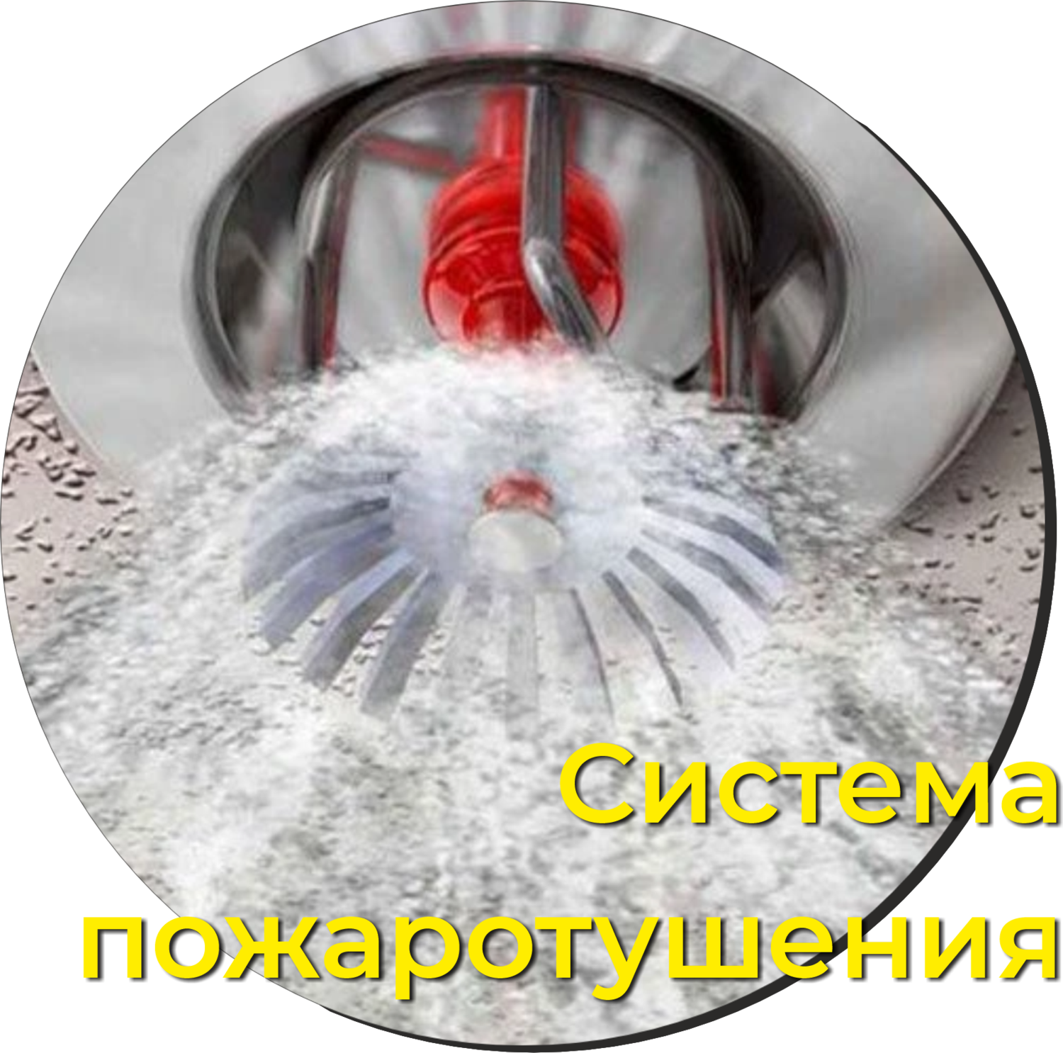 icon - /uploads/s/b/y/e/byew6rhvgfvv/img/full_lvTD3tbF.png